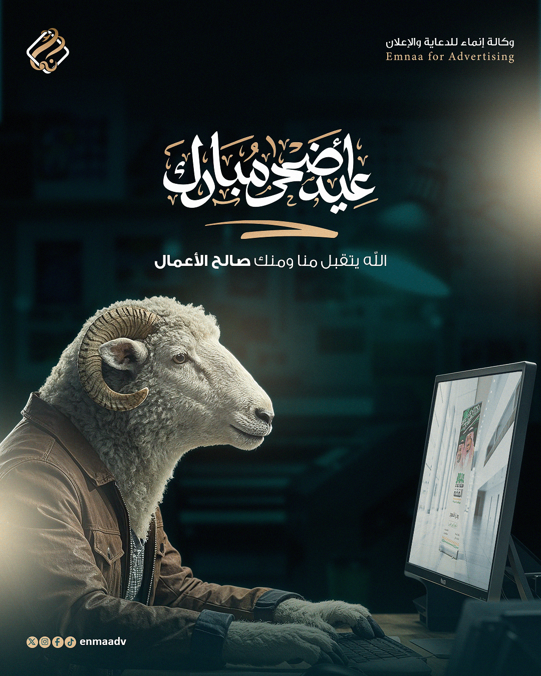 صورة إضافية 1