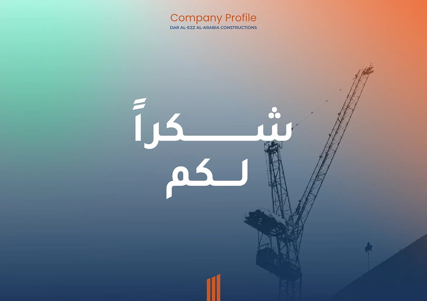 صورة إضافية 1