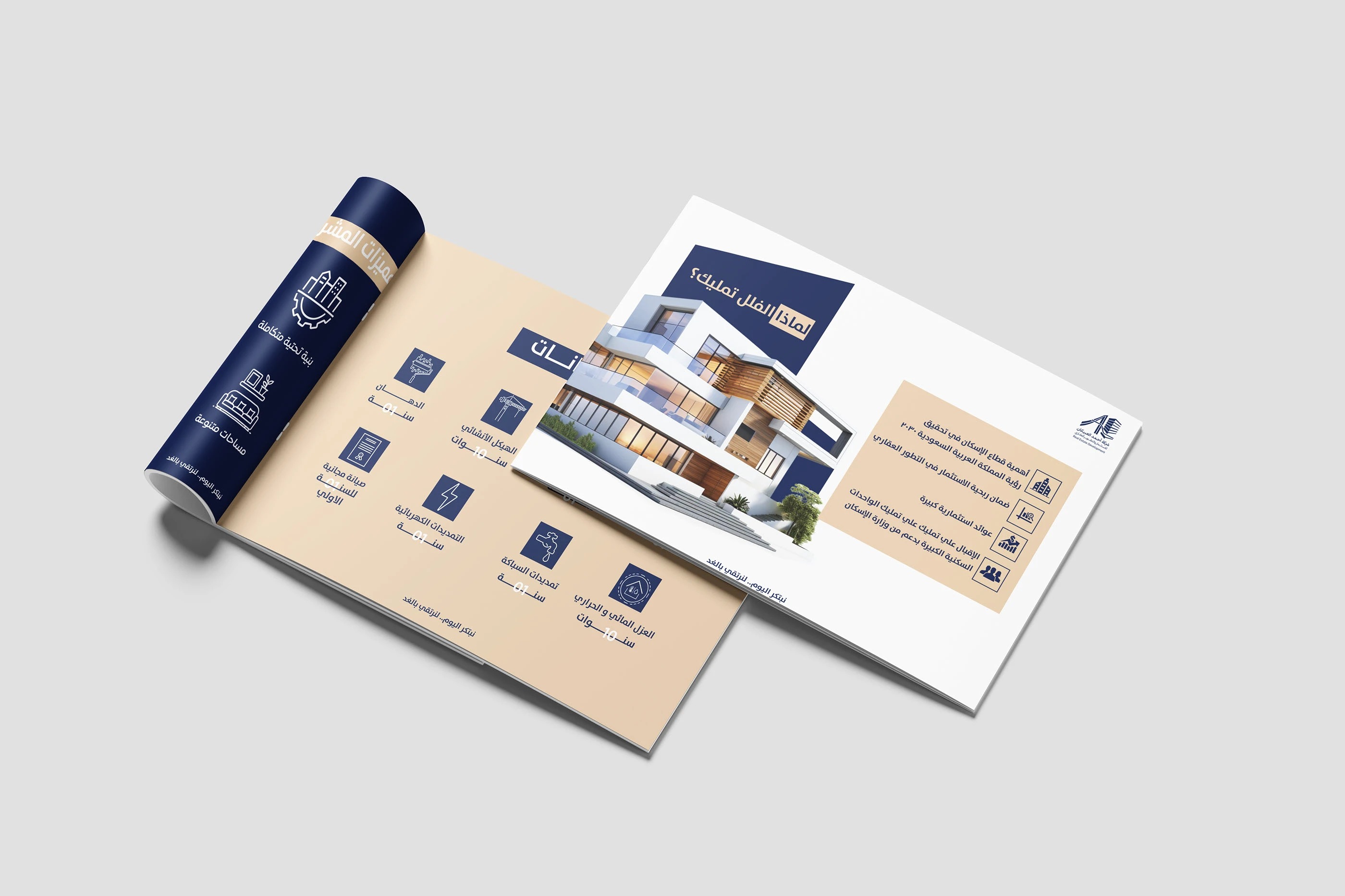 صورة إضافية 2