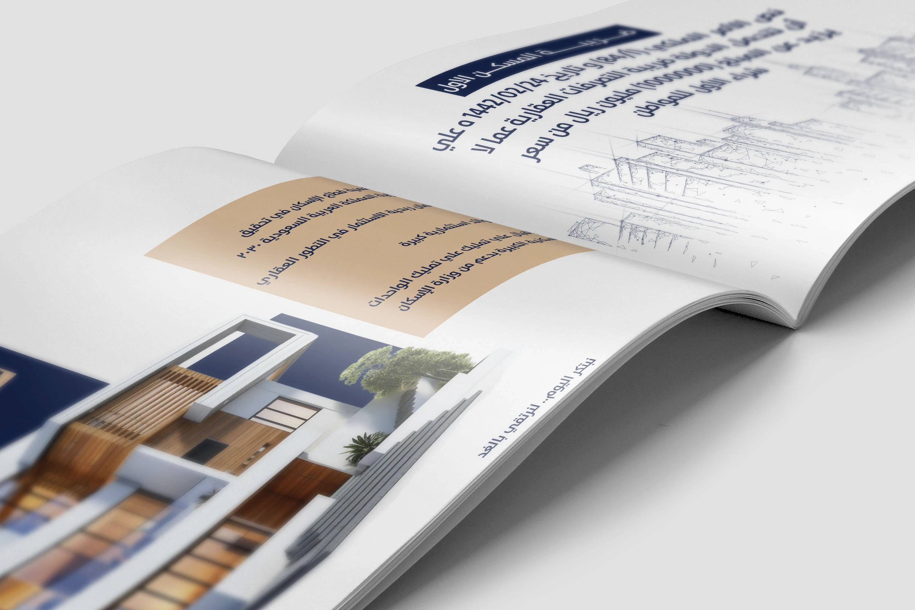 صورة إضافية 3